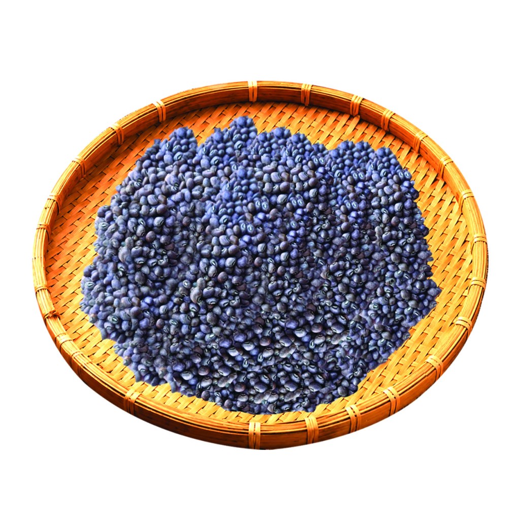 Bocate Beans