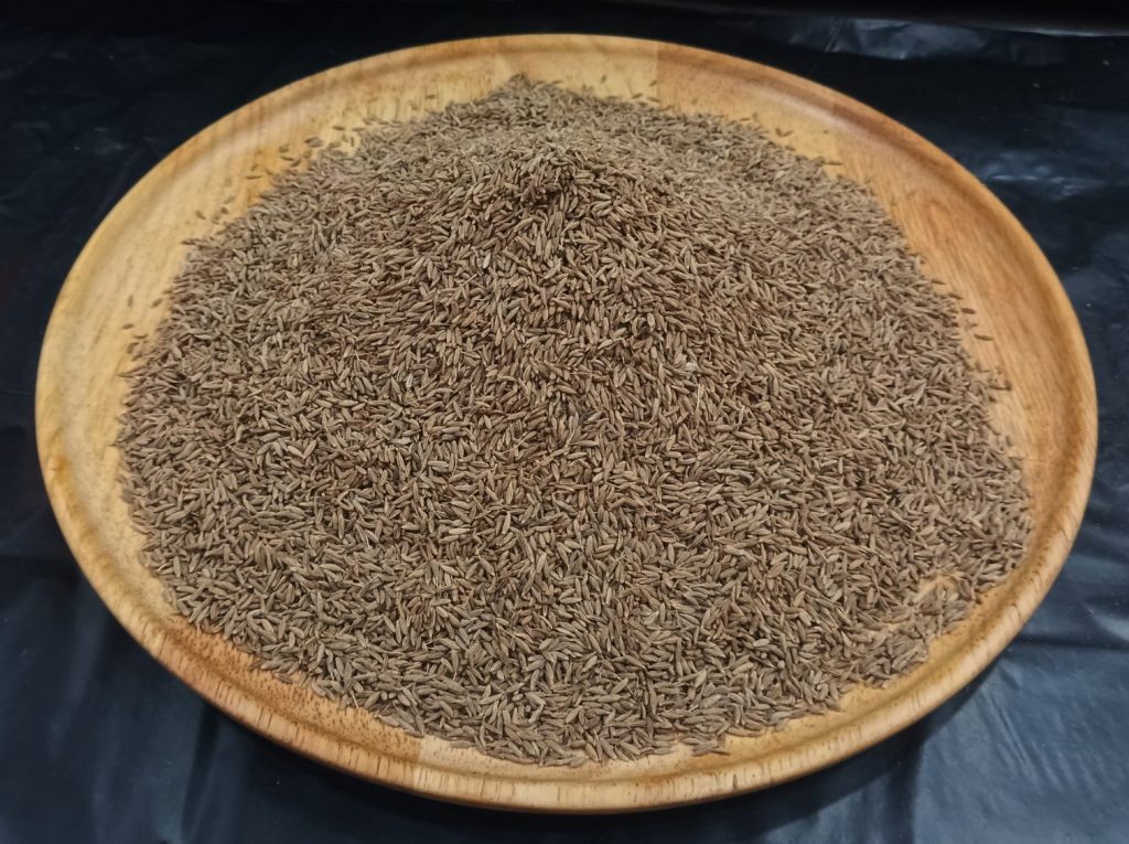 Cumin Seed