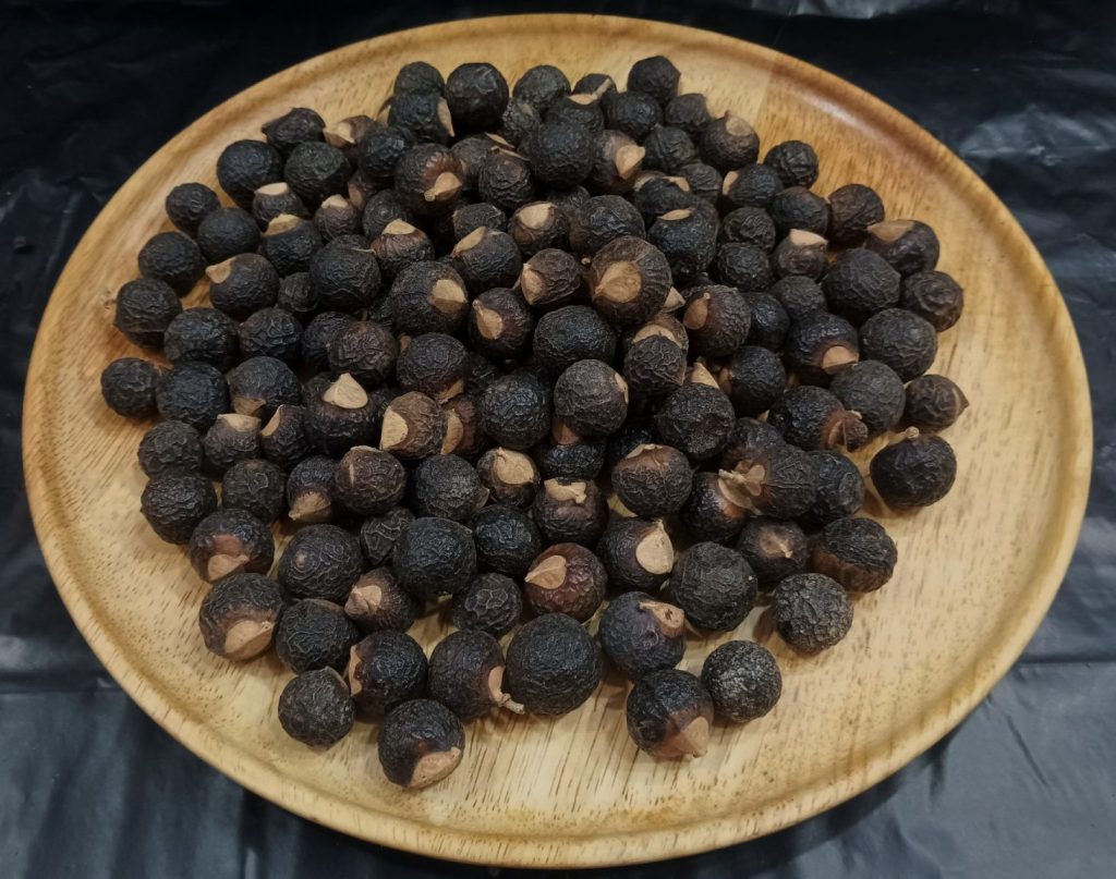 Nutmeg Seed