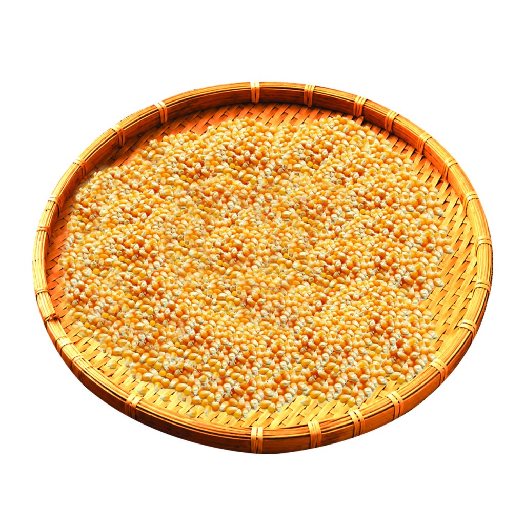 Yellow Maize